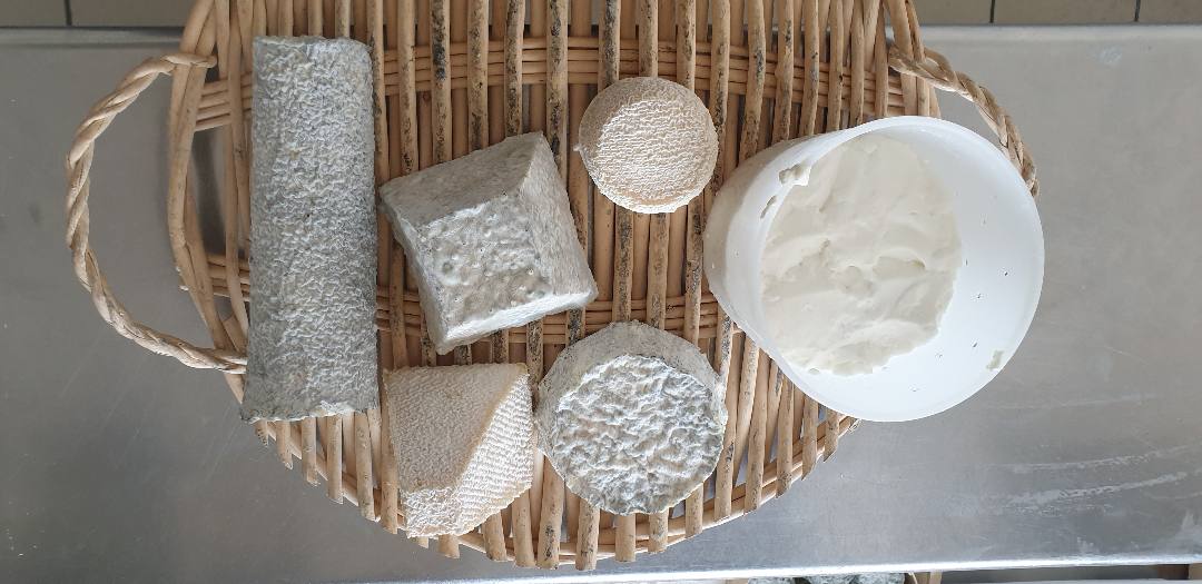 Fromage de chévre au lait cru Gaec Ferme de la Fringale : photo du produit rappelé le 15/05/2023