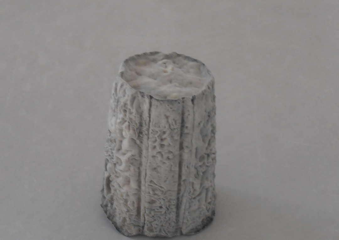 Fromage de chèvre lait cru La Chevre Rieuse : photo 2 sur 4 du produit rappelé le 15/12/2023