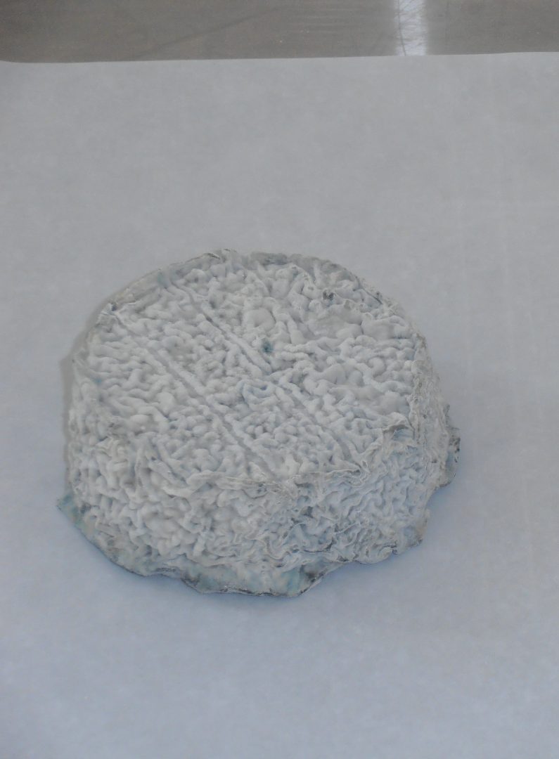 Fromage de chèvre lait cru La Chevre Rieuse : photo 4 sur 4 du produit rappelé le 15/12/2023