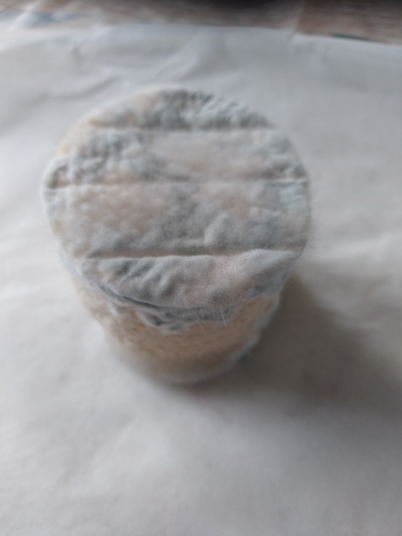 Fromage de chèvre le gargilesse : photo du produit rappelé le 19/03/2024