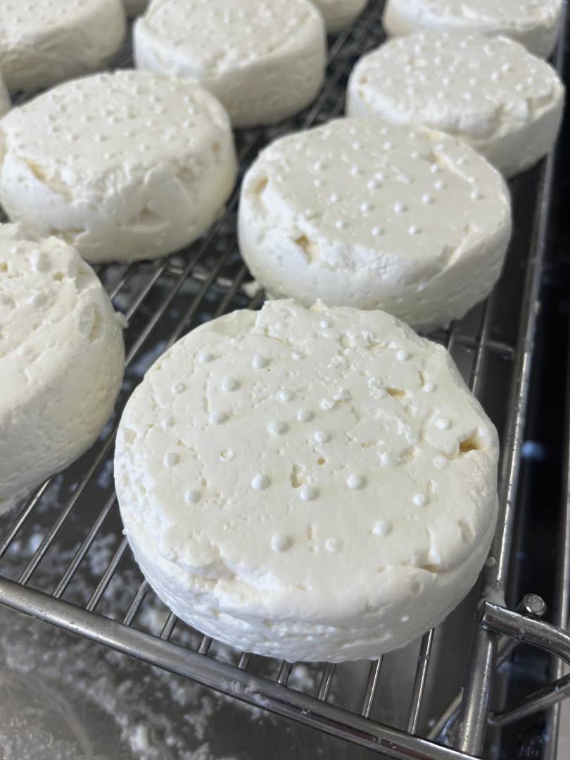 Fromage de chèvre rond frais La Ferme de la Thibauderie : photo du produit rappelé le 10/04/2026