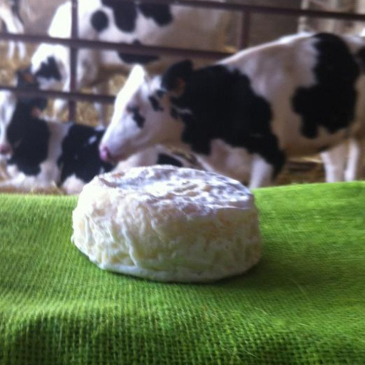Fromage demi sec : photo du produit rappelé le 15/02/2022