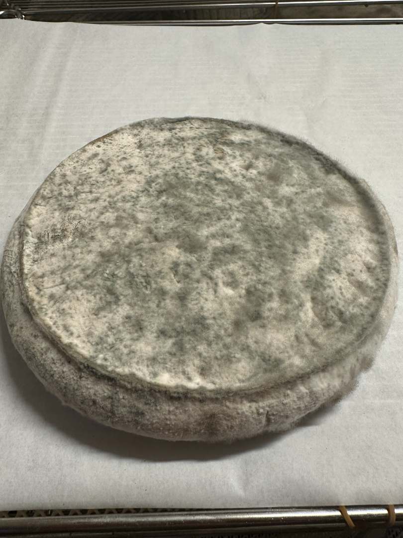 Fromage fermier : photo du produit rappelé le 11/08/2025