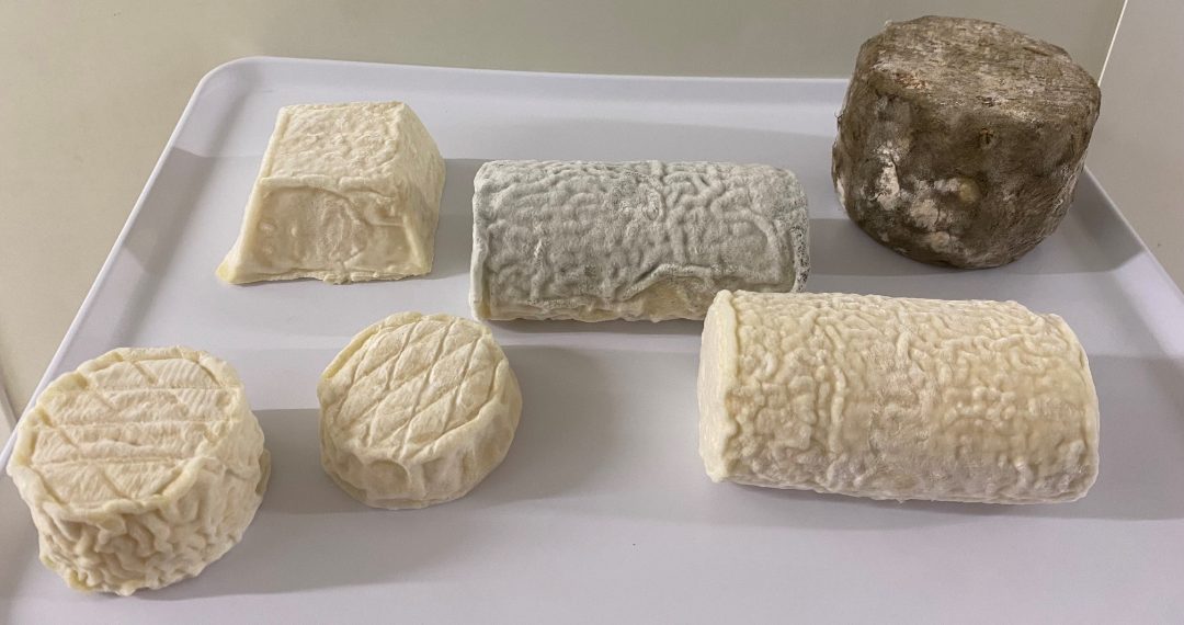 Fromages de brebis fermiers au lait cru Gaec du Val Gelon : photo du produit rappelé le 18/02/2026