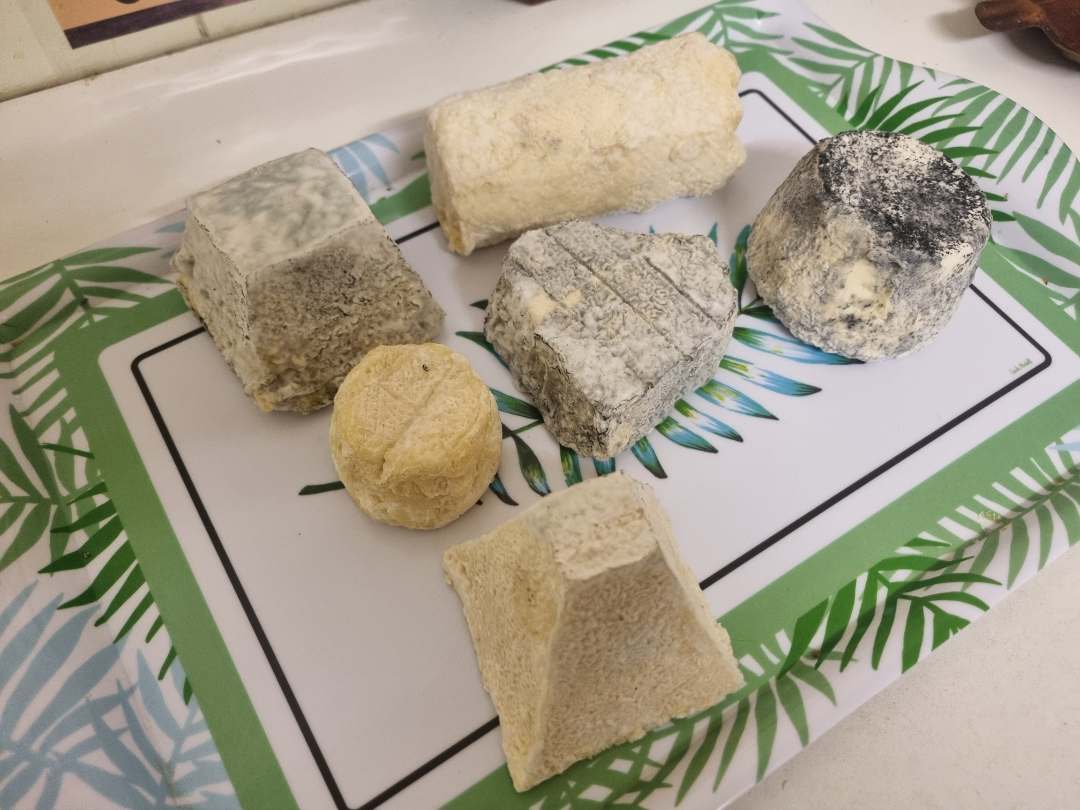 Fromages de chèvre : photo du produit rappelé le 26/03/2025