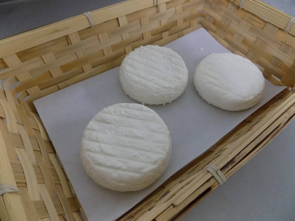 Fromages de chèvre au lait cru Gaec de Dorvan : photo du produit rappelé le 08/09/2026