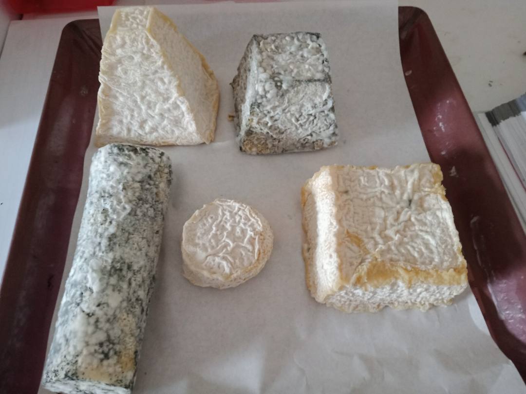 Fromages de chèvre frais et affinés Earl de Villiers : photo du produit rappelé le 21/05/2021