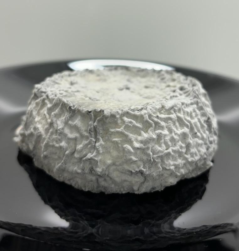 Fromages de chèvre ronds cendrés : photo du produit rappelé le 19/08/2026