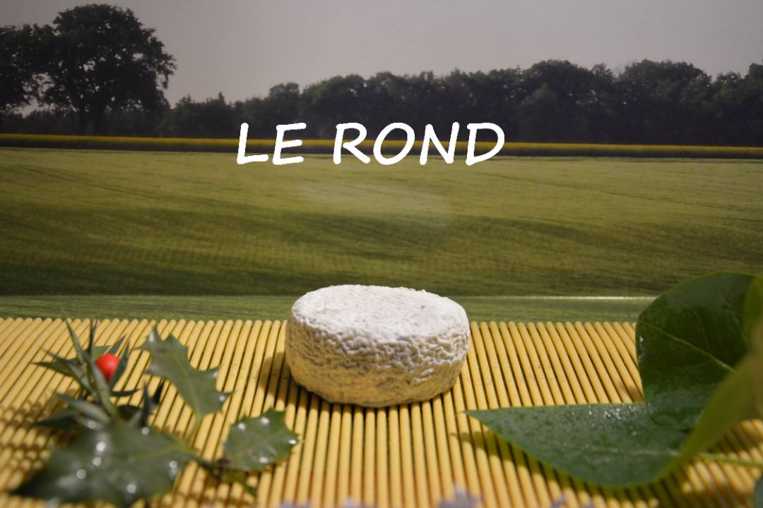Fromages de chèvre ronds Fromagerie Christian Bak : photo du produit rappelé le 05/04/2023