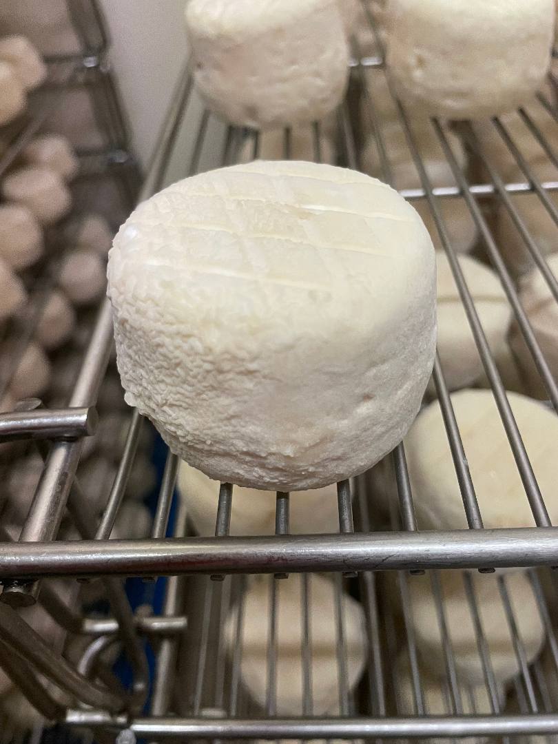 Fromages de chevres au lait cru Crottins de Chavignol : photo du produit rappelé le 05/09/2024