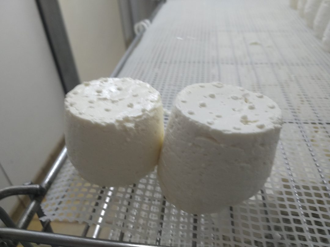 Fromages de chèvres et mi-chèvre au lait cru Chez Pinpin : photo du produit rappelé le 26/08/2021