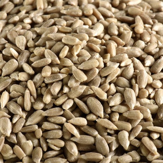 Graine de tournesol bio vrac 5kg Juste BIO Un Air d'Ici : photo du produit rappelé le 17/12/2025