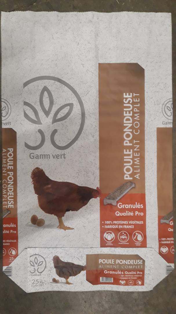 Gv pondeuse Gamm Vert : photo du produit rappelé le 20/10/2023