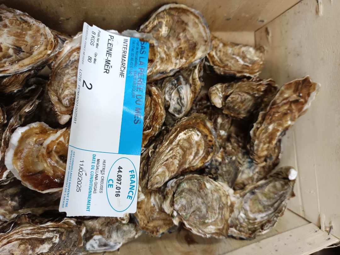 Huitres de kercabellec Pleine Mer : photo du produit rappelé le 18/02/2025