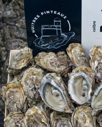 Huitres de saint vaast : photo du produit rappelé le 04/01/2024