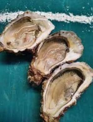 Huitres st vaast n°2 – 5kg et n°3 – 6kg : photo du produit rappelé le 07/05/2026