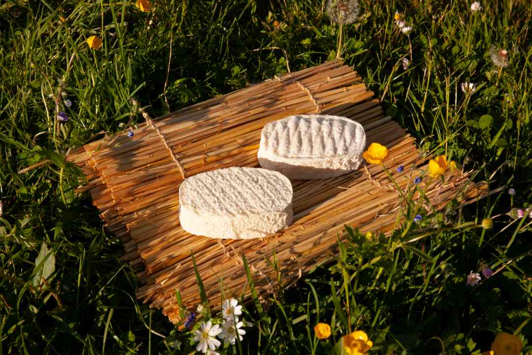 La chevrette Fromagerie des Gors : photo du produit rappelé le 09/01/2024