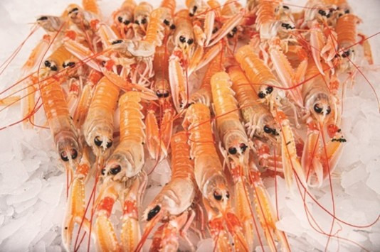 Langoustines crues 20/30 : photo du produit rappelé le 13/04/2026