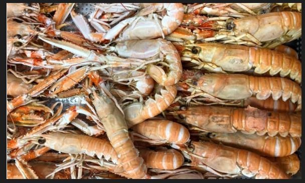 Langoustines cuites Produits Vendus au Rayon Traditionnel : photo du produit rappelé le 12/10/2022