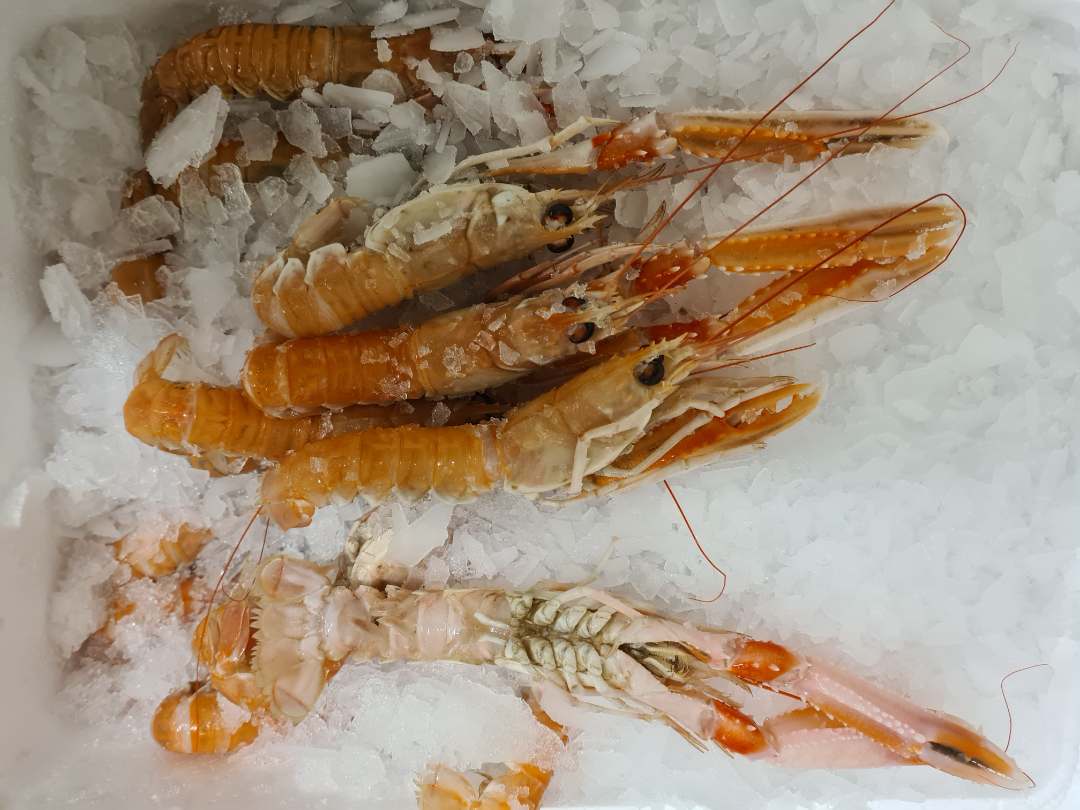 Langoustines fraîches origine danemark Chrisfish Danemark : photo du produit rappelé le 02/02/2022