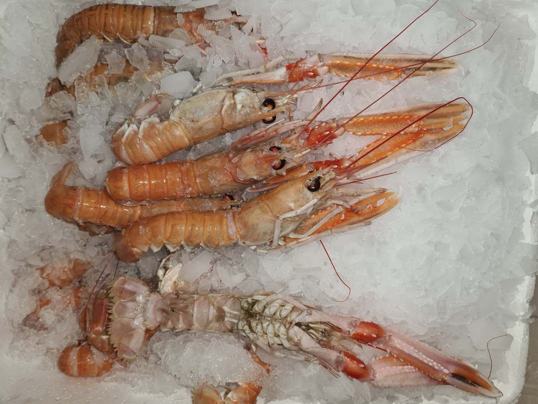 Langoustines fraîches origine danemark Chrisfish Danemark : photo 2 sur 2 du produit rappelé le 02/02/2022