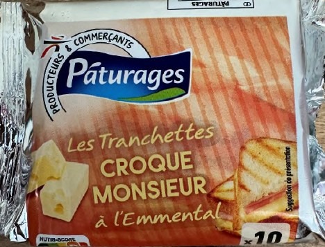 Les tranchettes croque monsieur a l'emmental Paturages : photo du produit rappelé le 17/02/2026