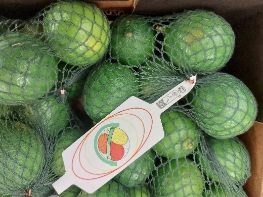 Lime - citron vert : photo du produit rappelé le 23/11/2023