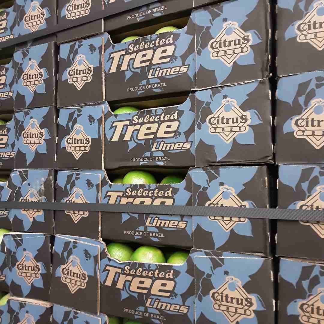 Lime Selected Tree Limes : photo 3 sur 4 du produit rappelé le 23/11/2023
