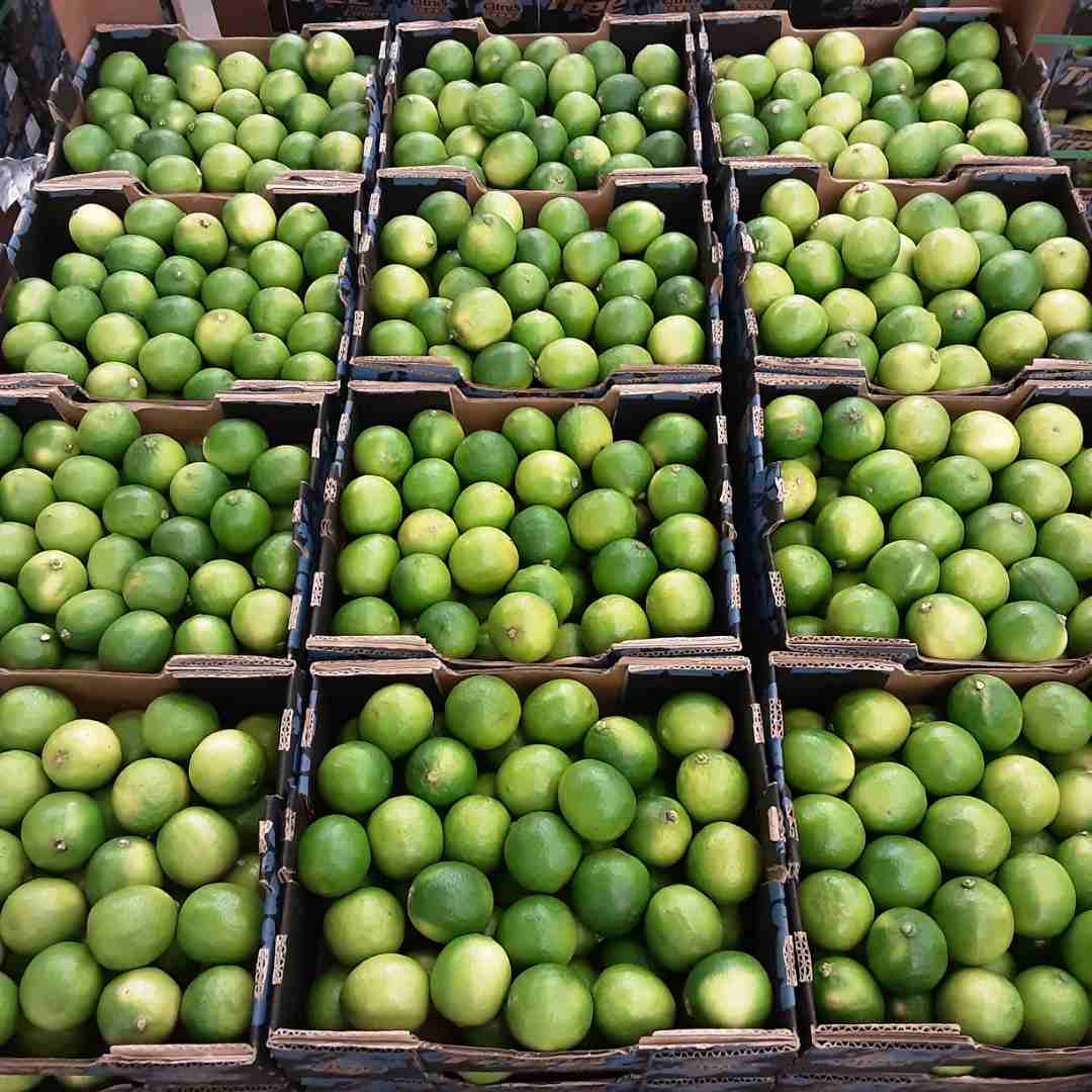 Lime Selected Tree Limes : photo 4 sur 4 du produit rappelé le 23/11/2023