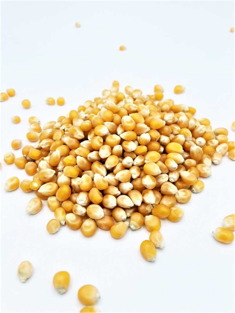 Maïs pop corn Le BIO de Manon : photo 2 sur 2 du produit rappelé le 31/03/2023