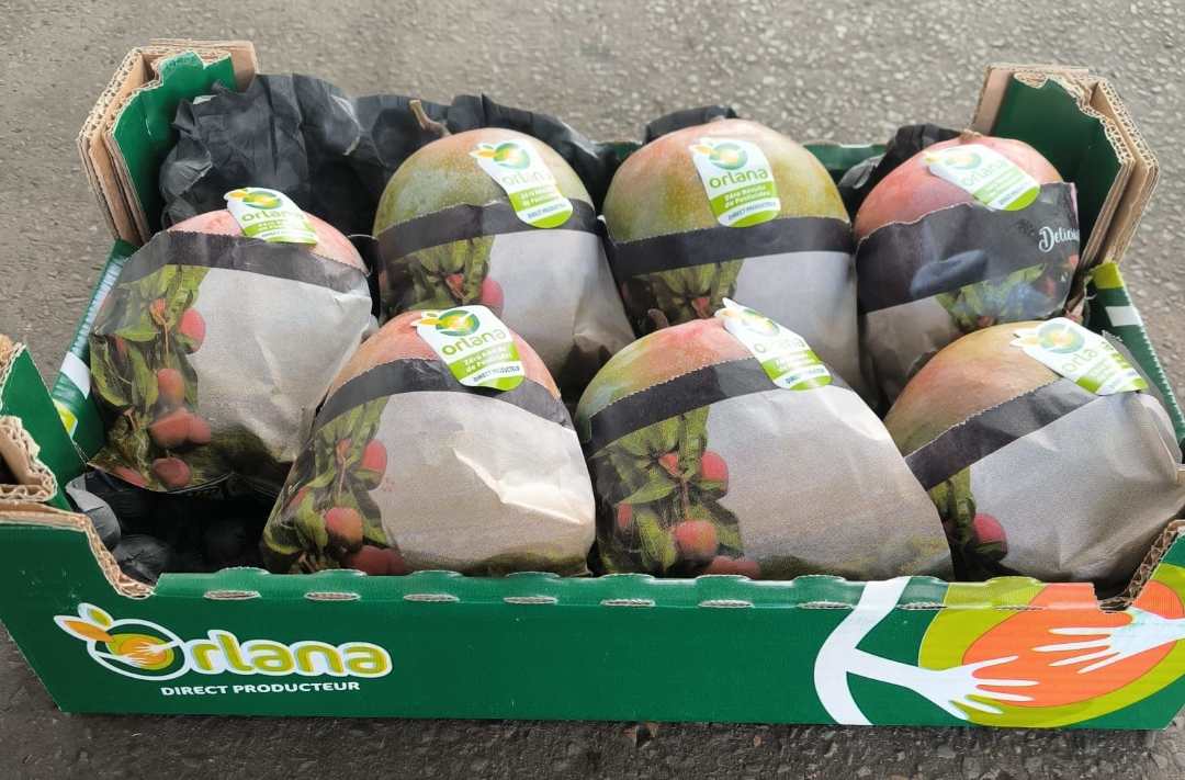 Mangue orlana osteen zrp Espagne cat1 cal 6 - 7 - 8 - 10 : photo du produit rappelé le 13/10/2025