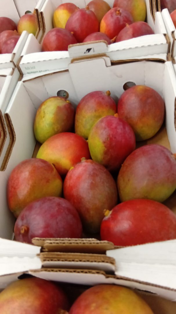 Mangue tommy Lara : photo du produit rappelé le 21/01/2026