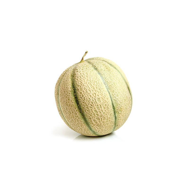 Melon boule de miel x12 cat i Espagne Juanjor : photo du produit rappelé le 23/06/2025