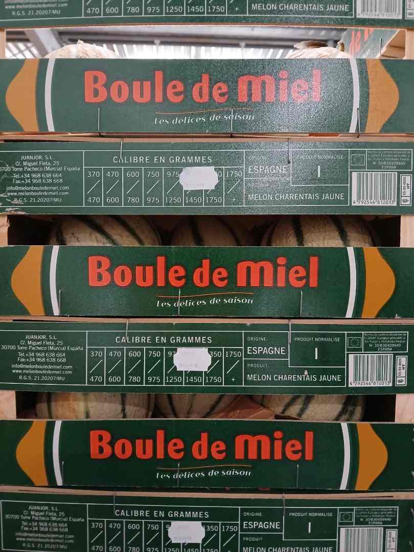 Melon charentais d'Espagne Boule de Miel : photo du produit rappelé le 09/07/2025