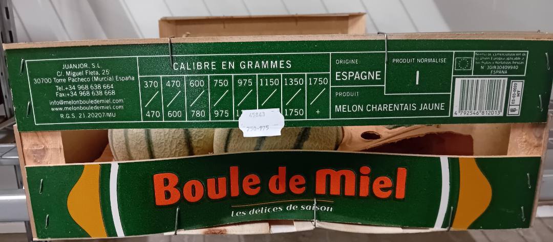 Melon charentais d'Espagne Boule de Miel : photo du produit rappelé le 24/07/2025