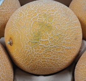Melon galia : photo du produit rappelé le 12/06/2026