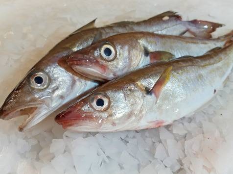 Merlan entier vide Rayon Poisson Traditionnel : photo du produit rappelé le 02/09/2026