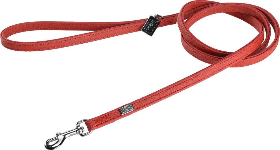 More for laisse adjust pisa 11-140 rouge : photo du produit rappelé le 05/11/2021
