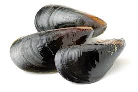 Moule de bouchot Vendue au Rayon Poissonnerie Traditionnelle : photo du produit rappelé le 24/06/2025