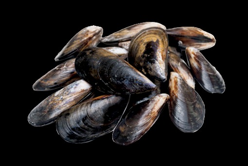 Moule de corde elevee en irlande (vrac rayon marée) : photo du produit rappelé le 05/03/2025
