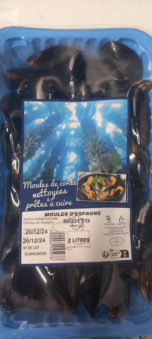 Moules d'Espagne vracs et barquettes Ets Scotto : photo du produit rappelé le 24/12/2024