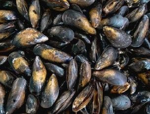 Moules de bouchot : photo du produit rappelé le 14/08/2025