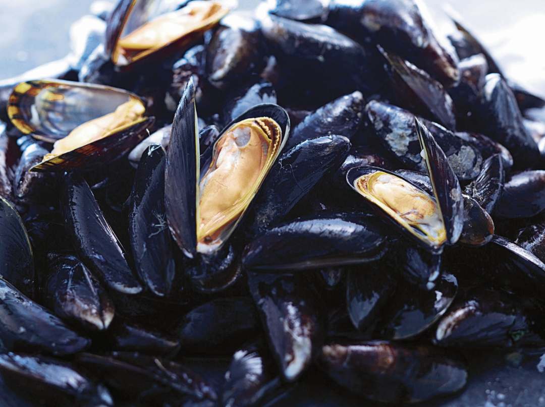 Moules de bouchot : photo du produit rappelé le 14/09/2021