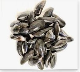 Moules de bouchot U : photo du produit rappelé le 12/09/2022
