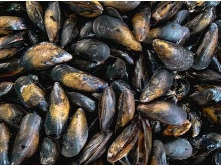 Moules de bouchot en vrac Auchan le Poissonnier : photo du produit rappelé le 07/10/2026