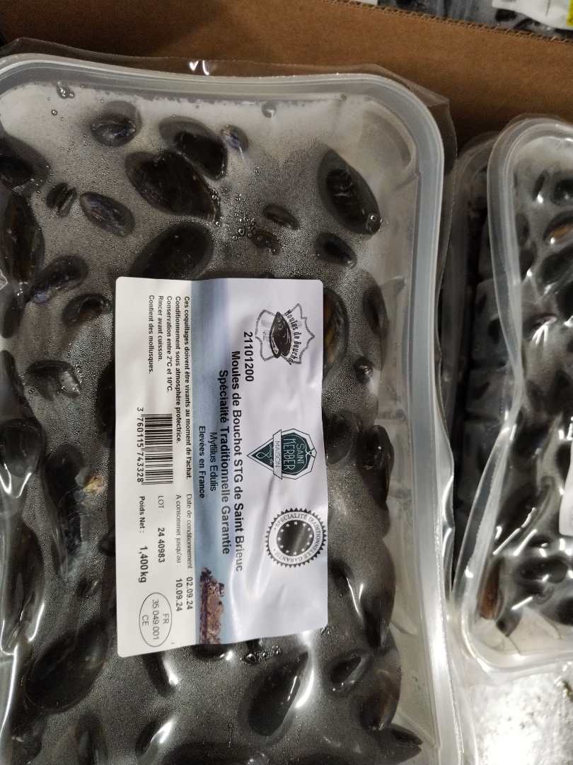 Moules de bouchots STG de saint brieuc Les Viviers d'Armor : photo du produit rappelé le 03/09/2024