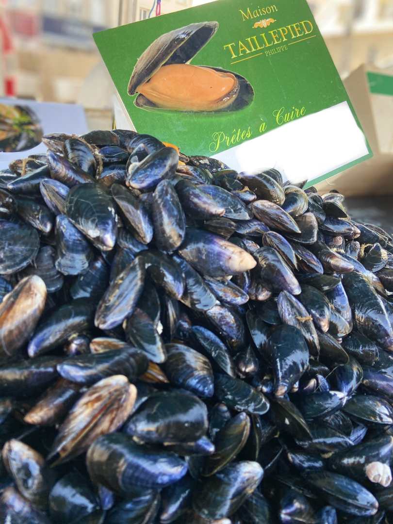 Moules de culture : photo du produit rappelé le 04/01/2024