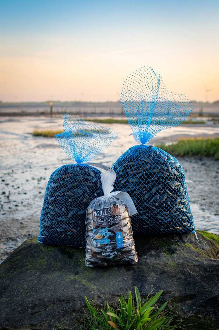 Moules de filiere de l'ile Sans Marque (vrac Étale Poissonnerie) et l'Estran : photo du produit rappelé le 29/04/2026