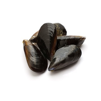 Moules de hollande : photo du produit rappelé le 23/10/2023
