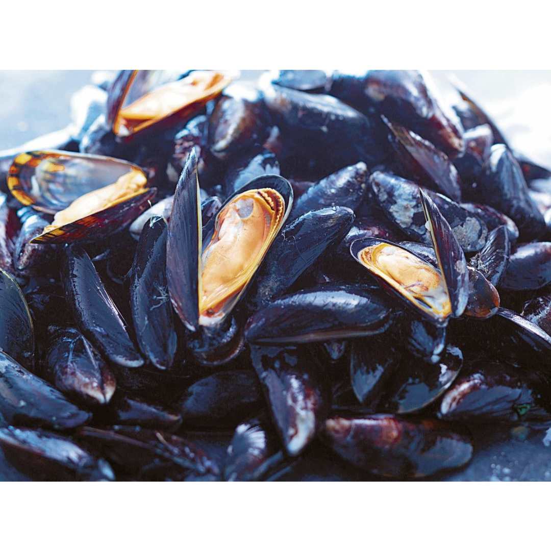 Moules de hollande vrac 15 kg : photo du produit rappelé le 21/10/2023
